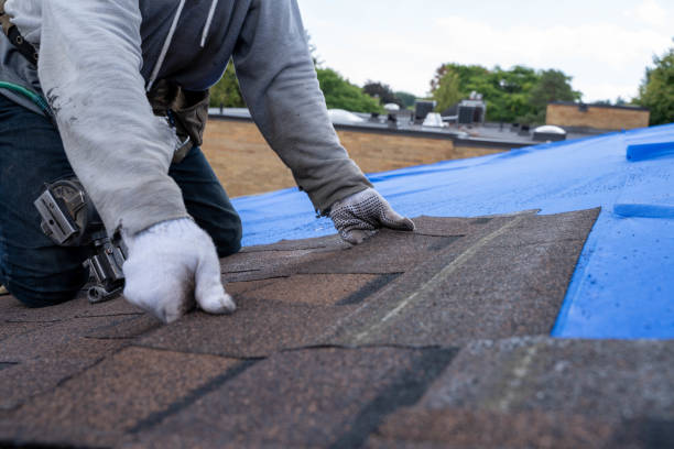 Quick and Trustworthy Emergency Roof Repair Services in Sandy Oaks, TX